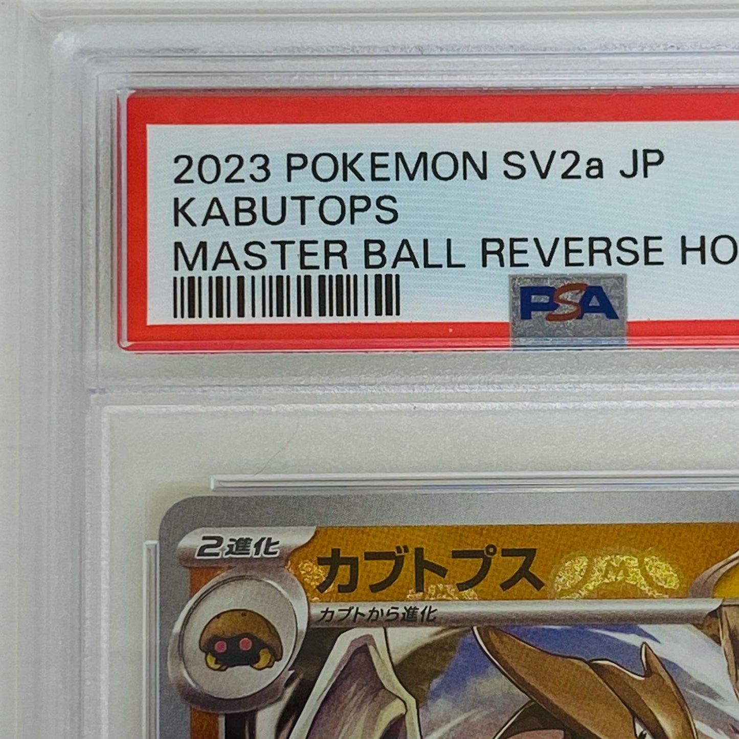 【中古】 PSA10 カブトプス R SV2a ポケモンカード151 141/165 カブトプス ポケモンカードゲーム トレーディングカード SV2a 強化拡張パック ポケモンカード151 141/165【飾磨店】