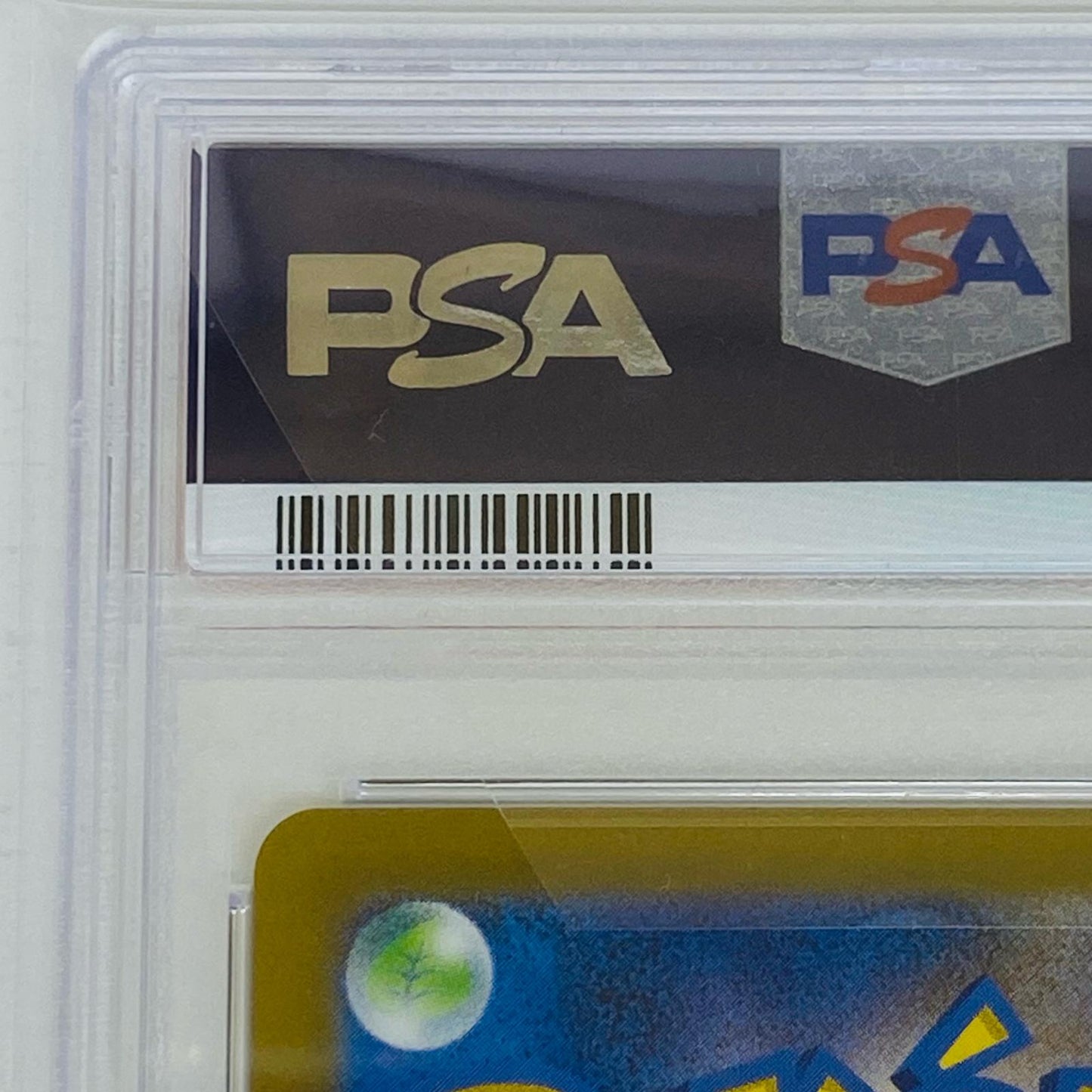 【中古】 PSA10 カブトプス R SV2a ポケモンカード151 141/165 カブトプス ポケモンカードゲーム トレーディングカード SV2a 強化拡張パック ポケモンカード151 141/165【飾磨店】