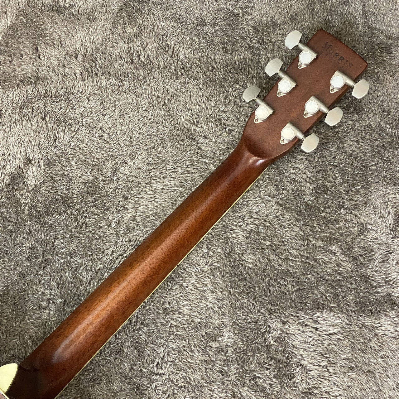 Morris | モーリス 楽器 W-30【尾張小牧店】