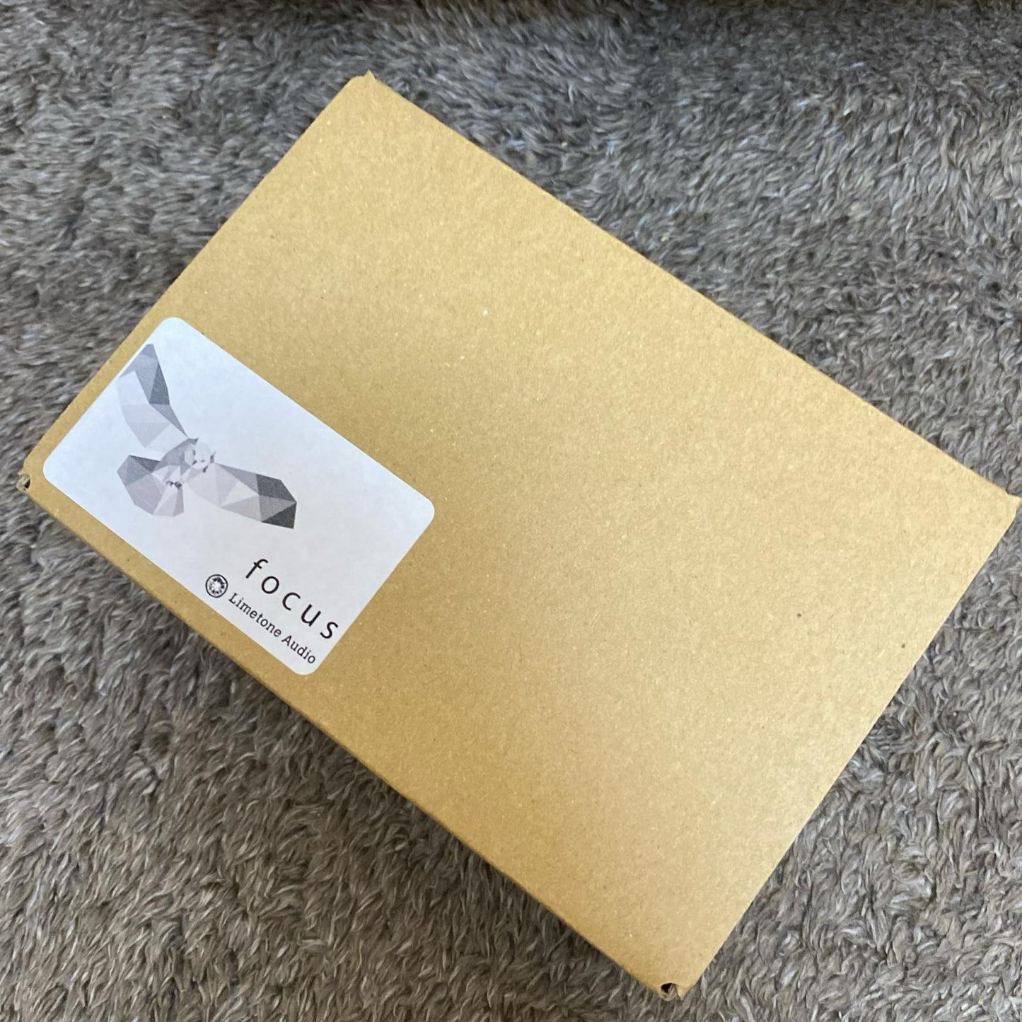 【新品】 Limetone Audio | ライムトーンオーディオ 楽器 Focus【尾張小牧店】
