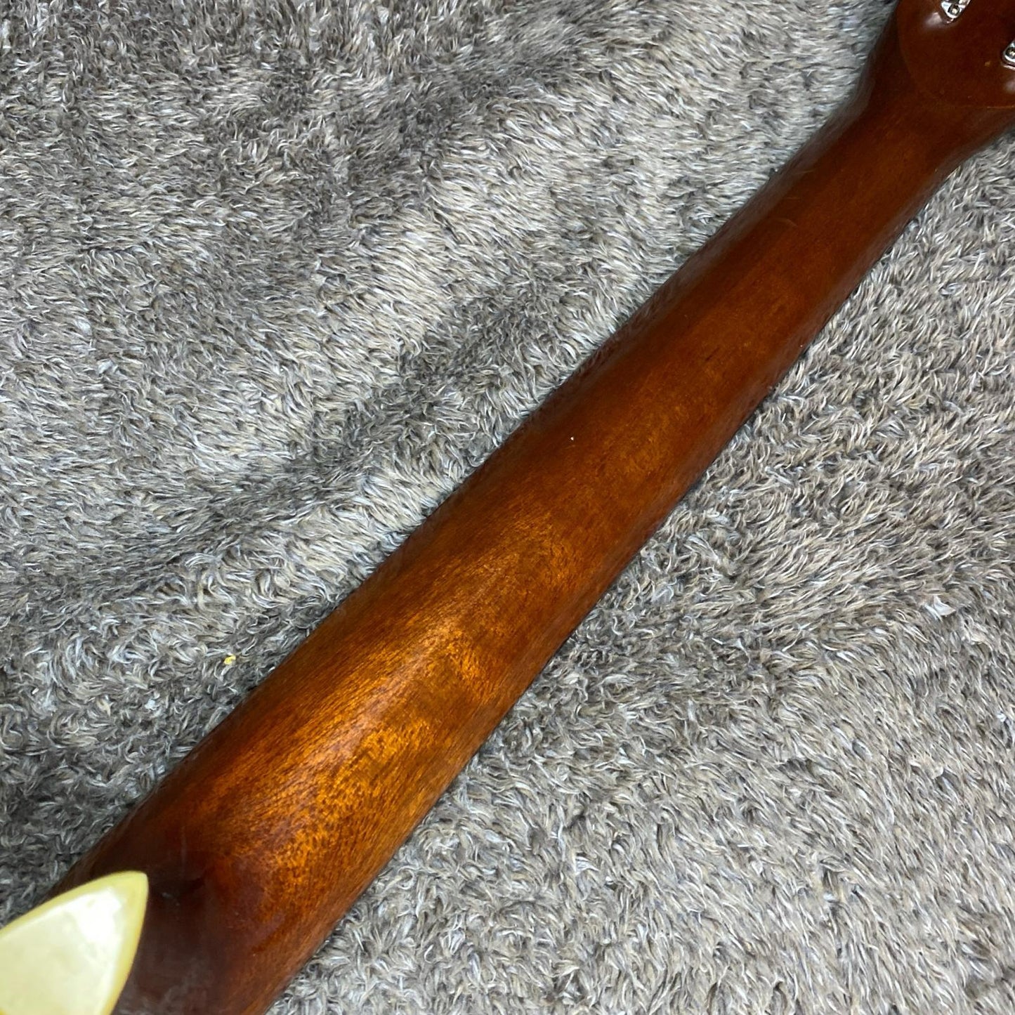 Morris | モーリス 楽器 W-20【尾張小牧店】
