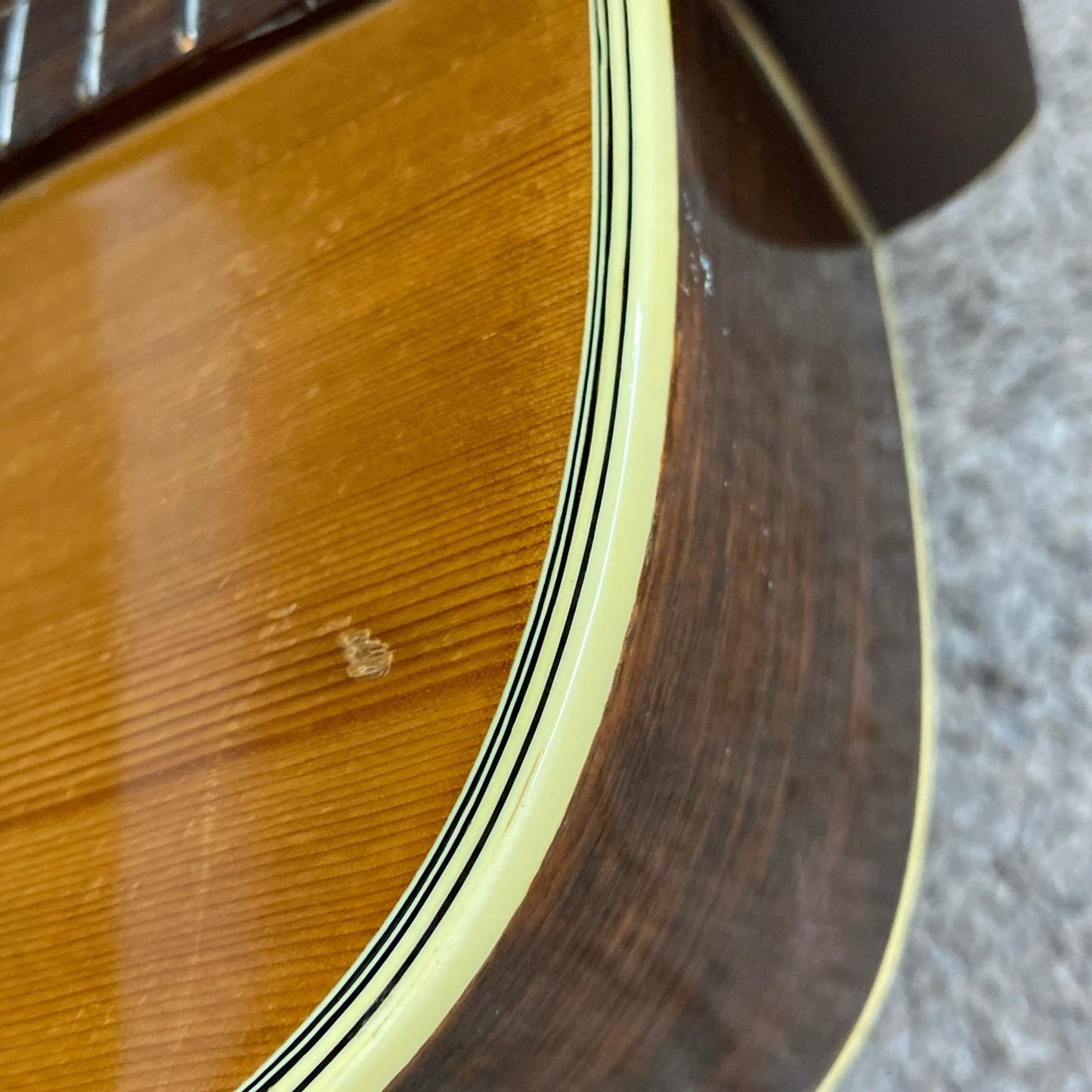 Morris | モーリス 楽器 F-15【尾張小牧店】