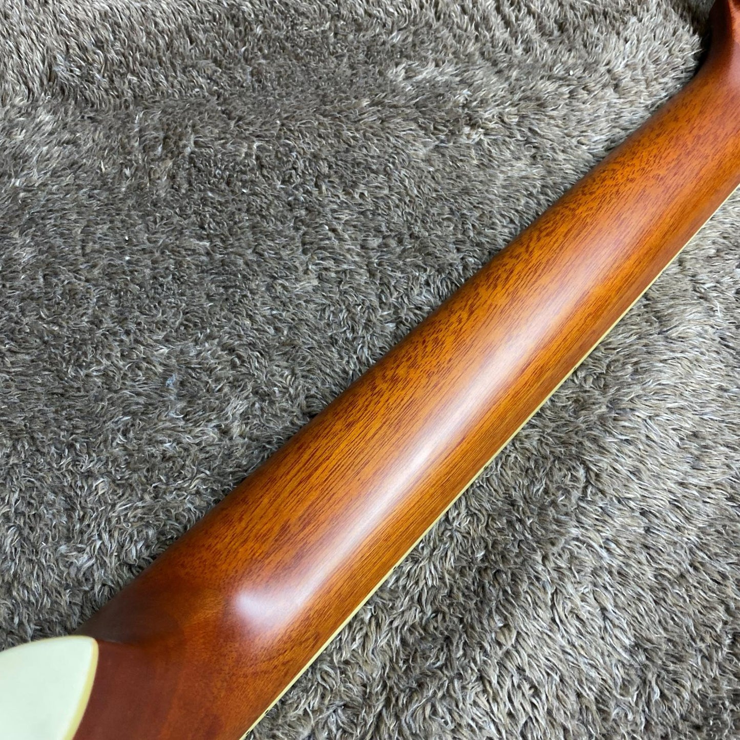 CRAFTER | クラフター 楽器 D24-12【尾張小牧店】