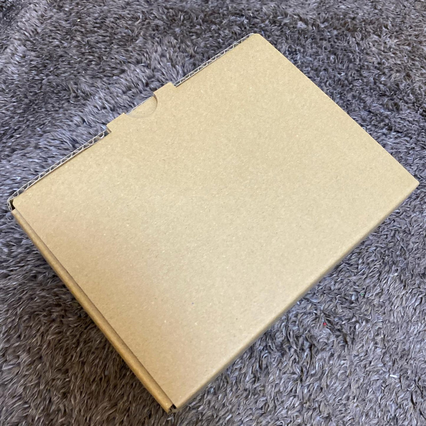 【新品】 楽器 Seji Roshi Pedals【尾張小牧店】