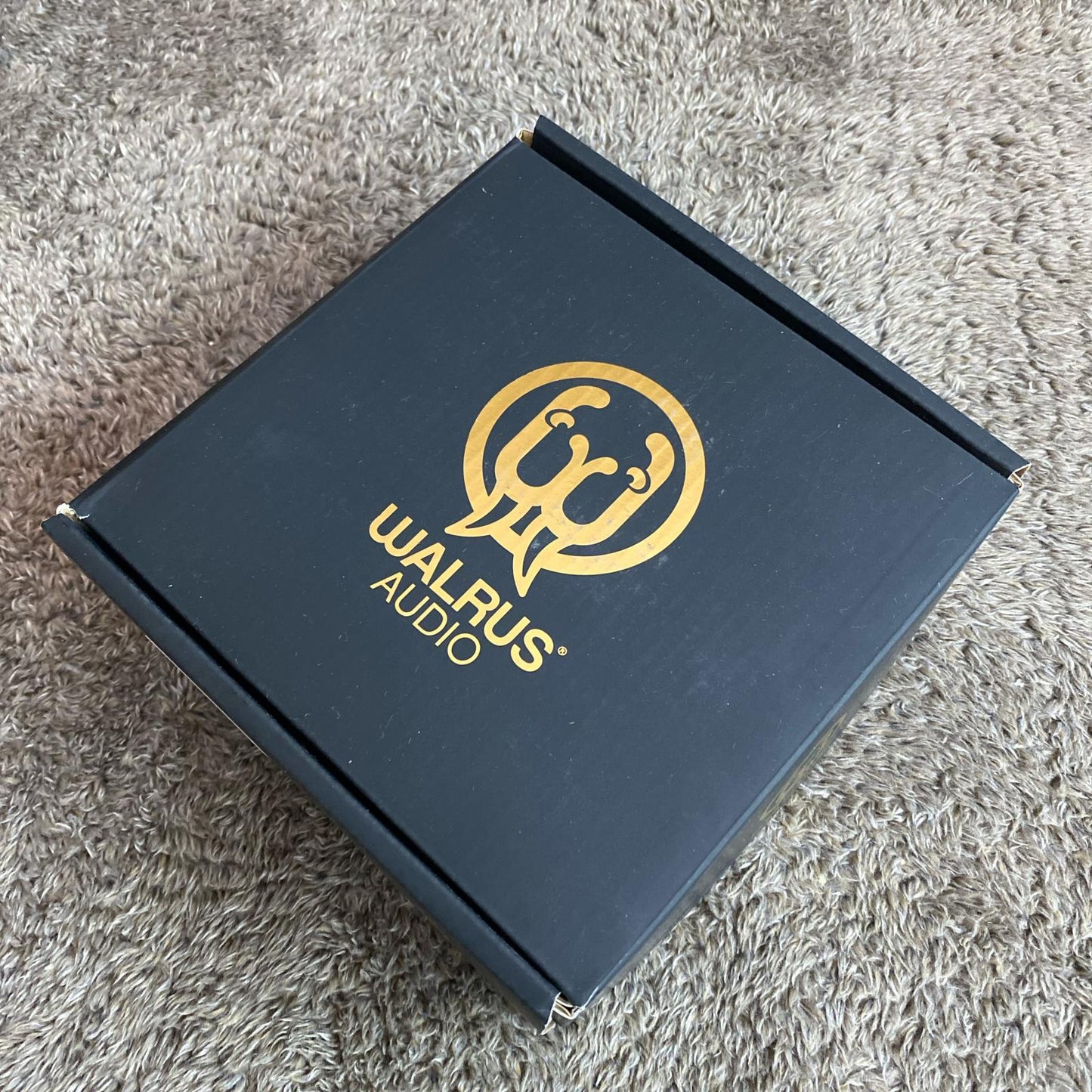 WALRUS AUDIO | ウォルラスオーディオ 楽器 Qi Etherealizer WAL-QIET TC【尾張小牧店】