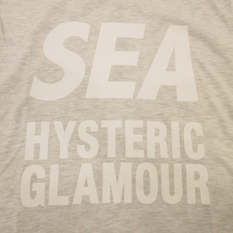 【中古】WIND AND SEA | ウィンダンシーウインダンシー WDS L/S T-SHIRT 長袖Tシャツ WDS-HYS-04 グレー サイズ:M