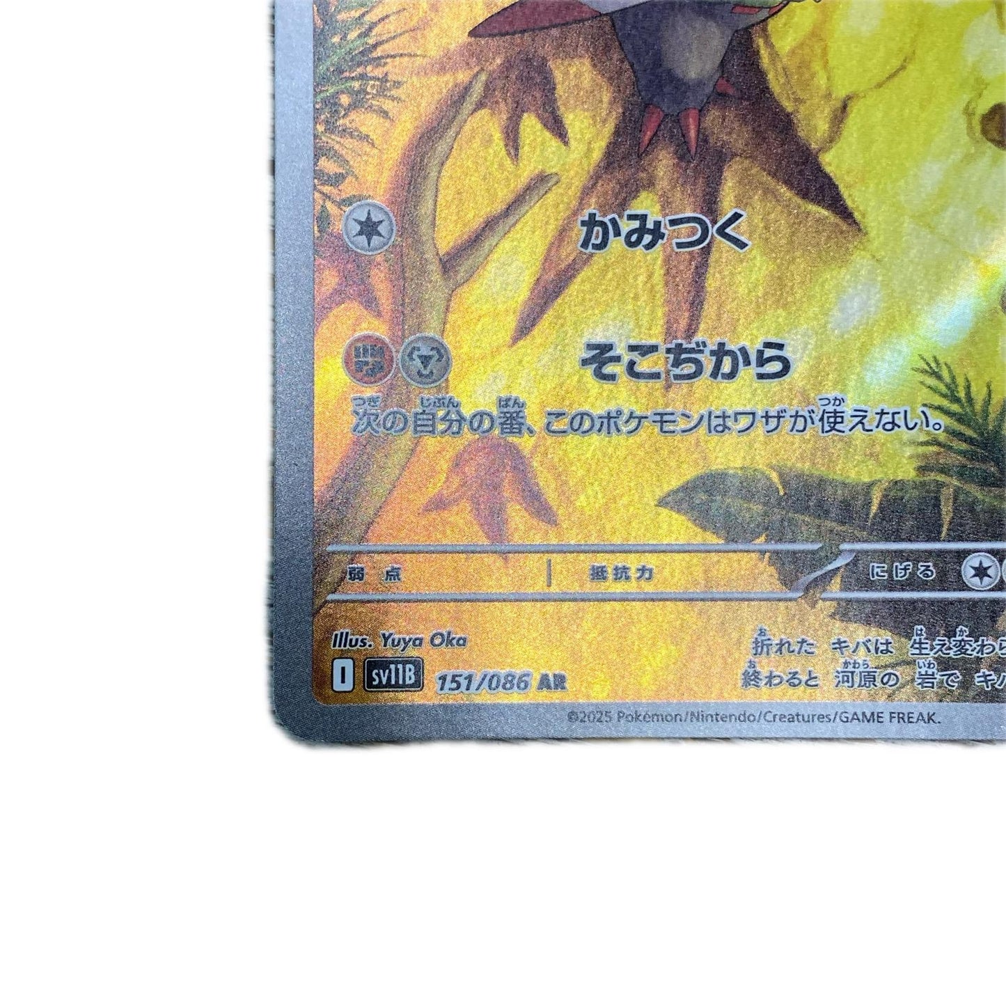 【倉吉店】 中古 オノンド AR SV11B 151/086 【362】