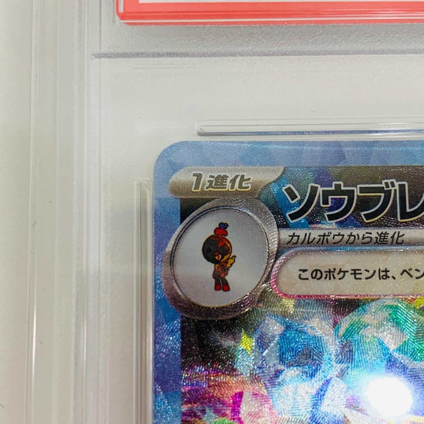 【中古】 PSA10 ソウブレイズex SAR SV8a テラスタルフェスex 203/187 ポケモンカードゲーム トレーディングカード 203/187【飾磨店】