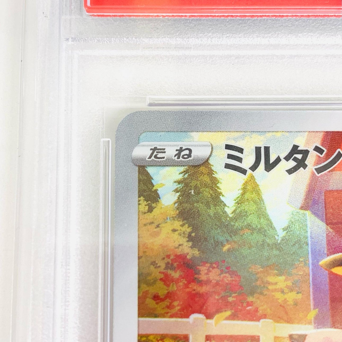 【中古】 PSA10 ミルタンク AR S12a-199 ポケモンカードゲーム トレーディングカード ミルタンク S12a-199【飾磨店】