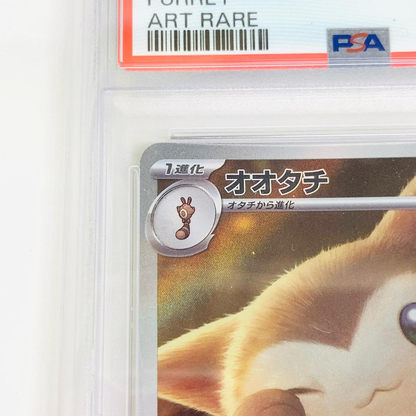 【中古】 PSA10 オオタチ AR SV9-110 ポケモンカードゲーム トレーディングカード オオタチ SV9-110【飾磨店】