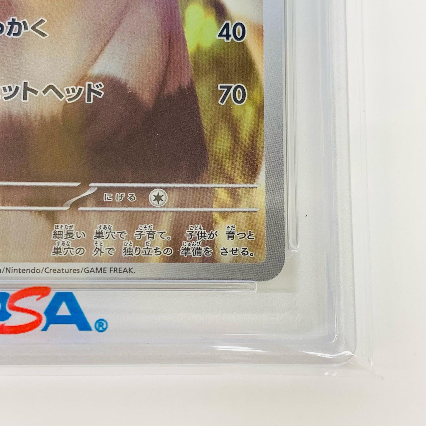 【中古】 PSA10 オオタチ AR SV9-110 ポケモンカードゲーム トレーディングカード オオタチ SV9-110【飾磨店】