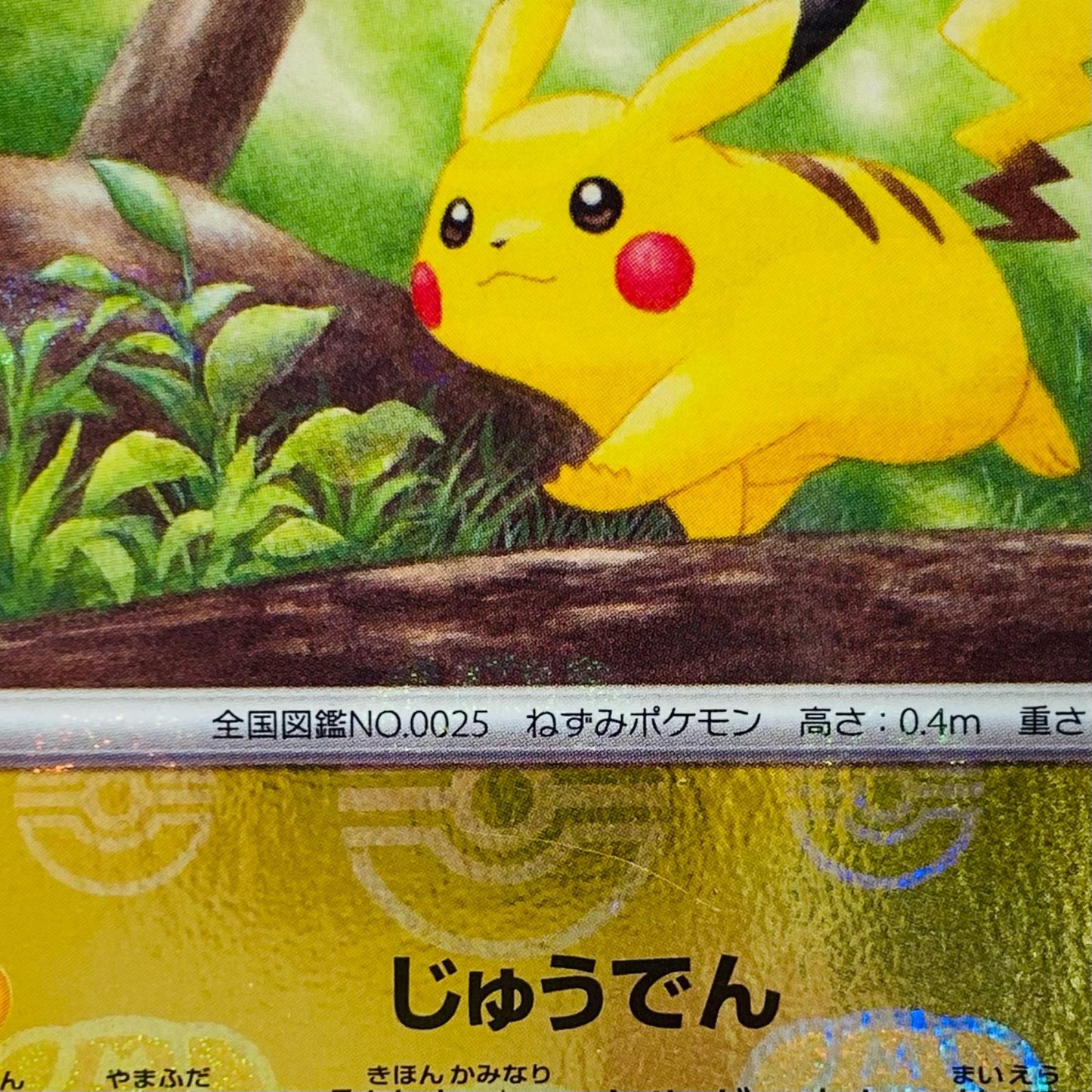 【中古】 ピカチュウ ミラー(マスターボール) C SV2a-025