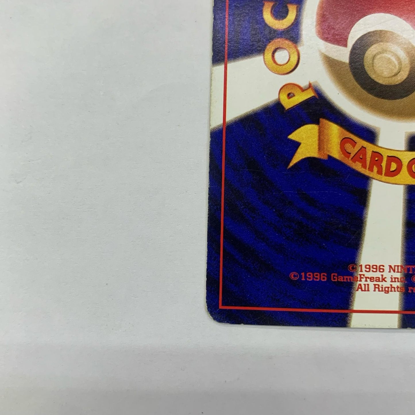 ワニノコLV.13 旧裏【飾磨店】【代金引換不可・日時指定不可】【ポスト投函】