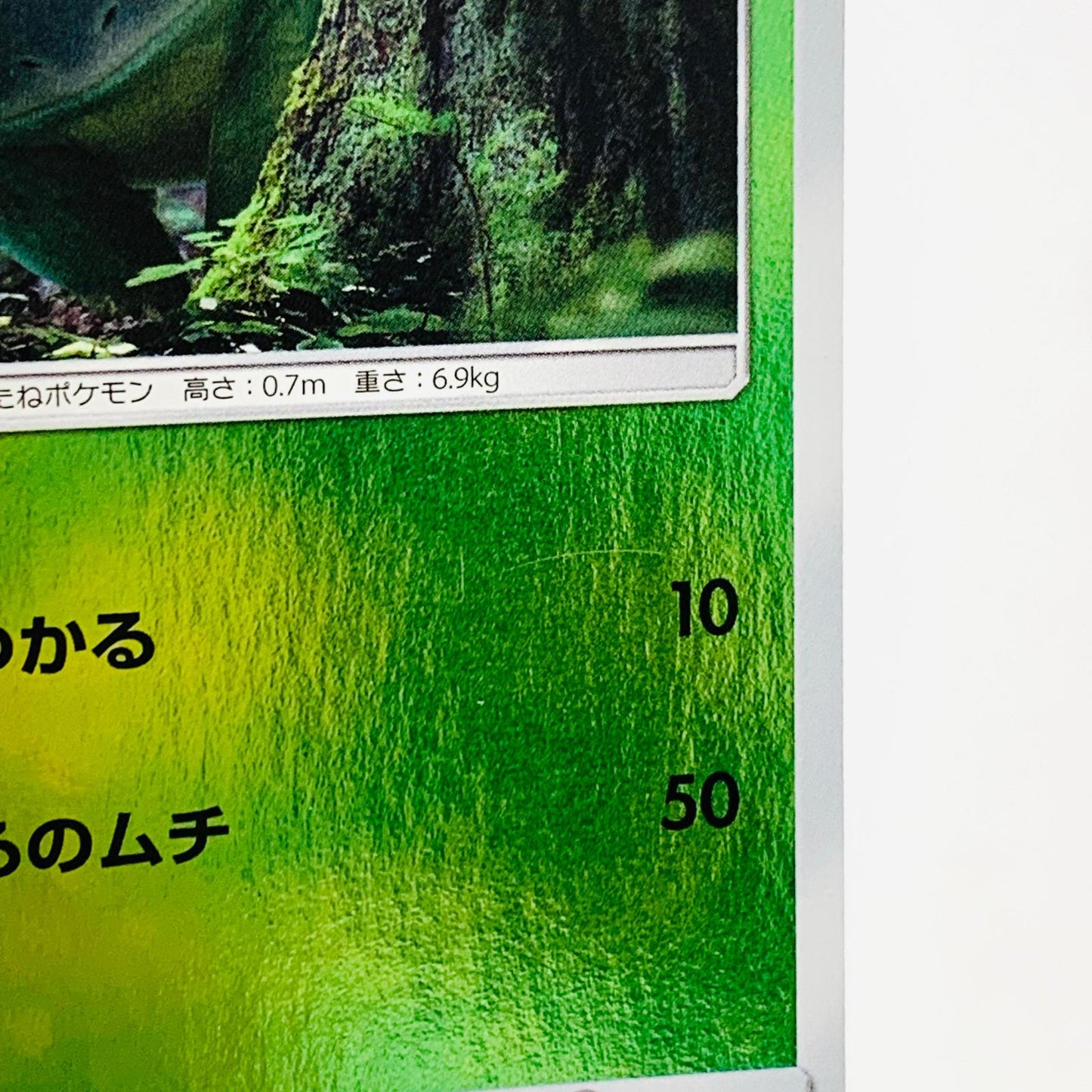SMP2-002 C フシギダネ SMP2 ムービースペシャルパック「名探偵ピカチュウ」【飾磨店】【代金引換不可・日時指定不可】【ポスト投函】