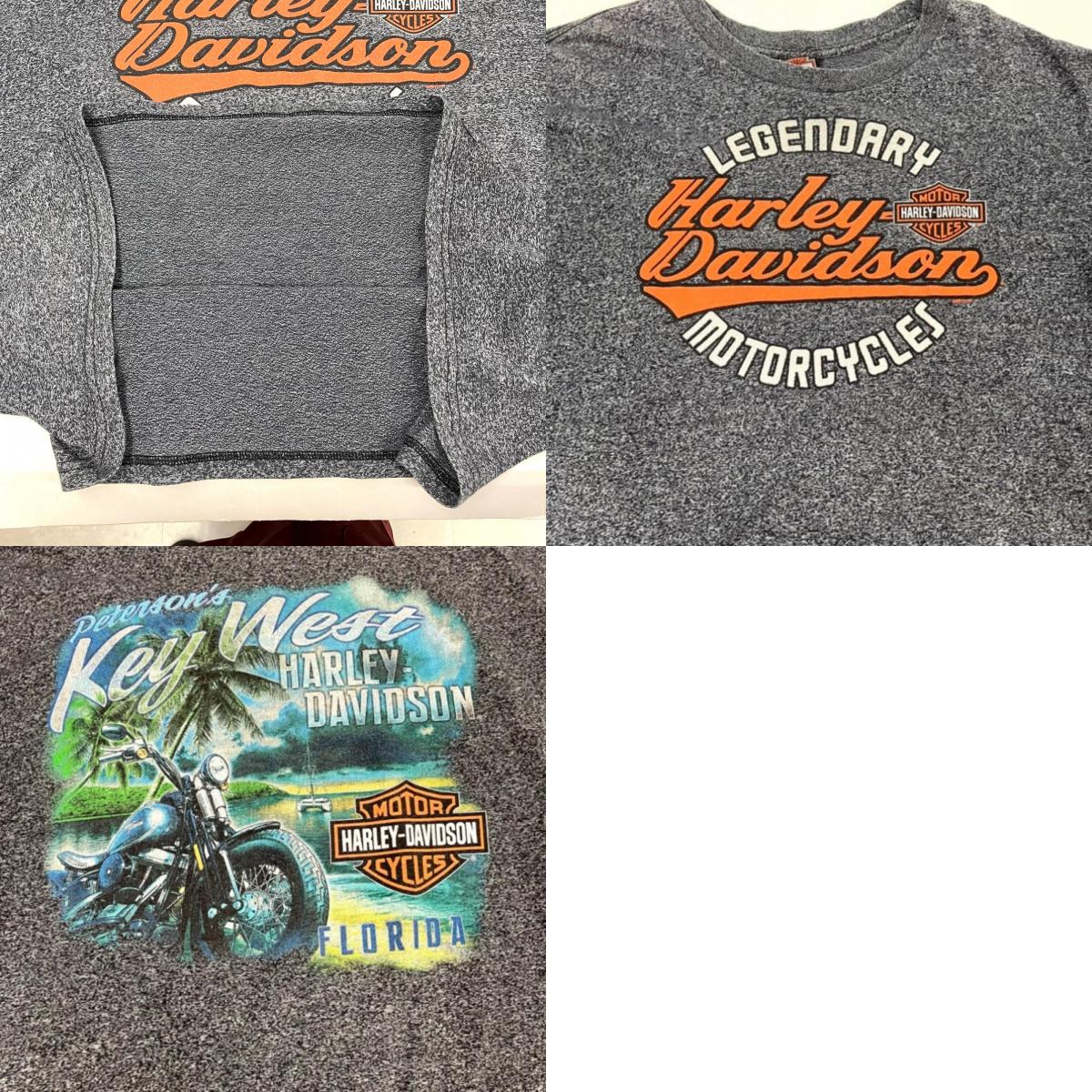 HARLEY-DAVIDSON | ハーレーダビットソン 半袖Tシャツ グレー【イオン広店】