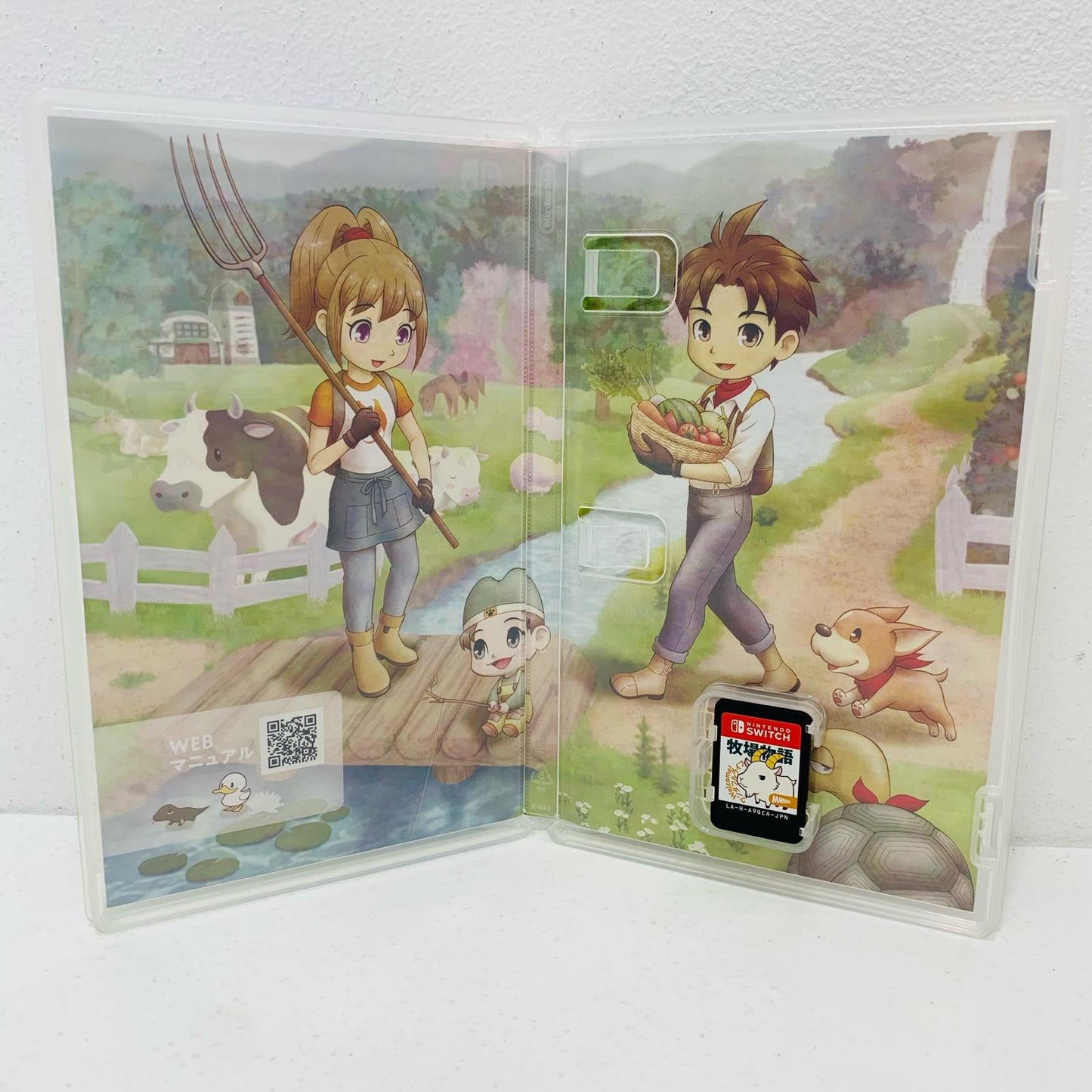 Game Software: Story of Seasons: A Wonderful Life, Nintendo Switch, Simulation, HAC-P-A9QCA
