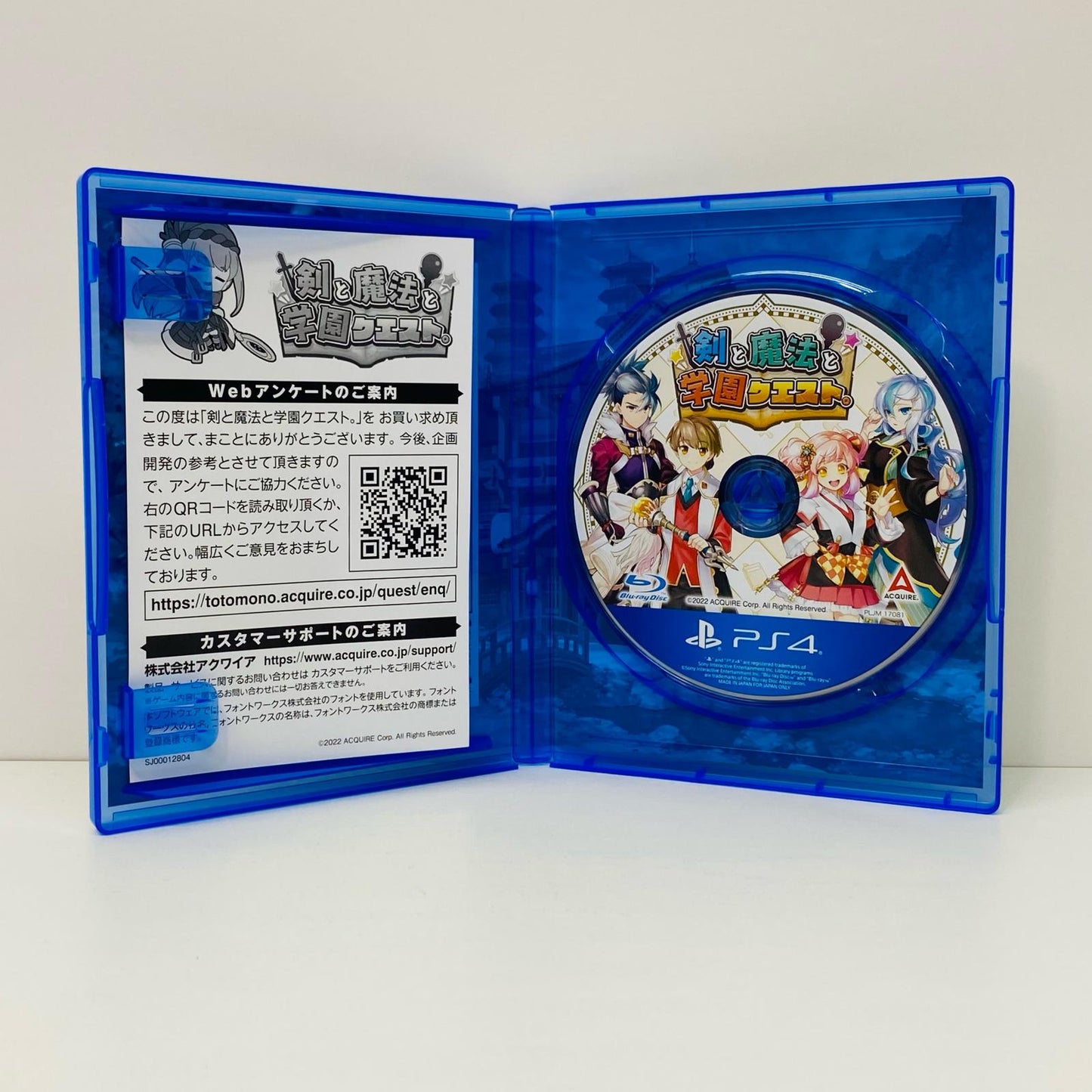 Game Software: Swords, Spells, and School Quest. PlayStation 4 Role-Playing PLJM-17081