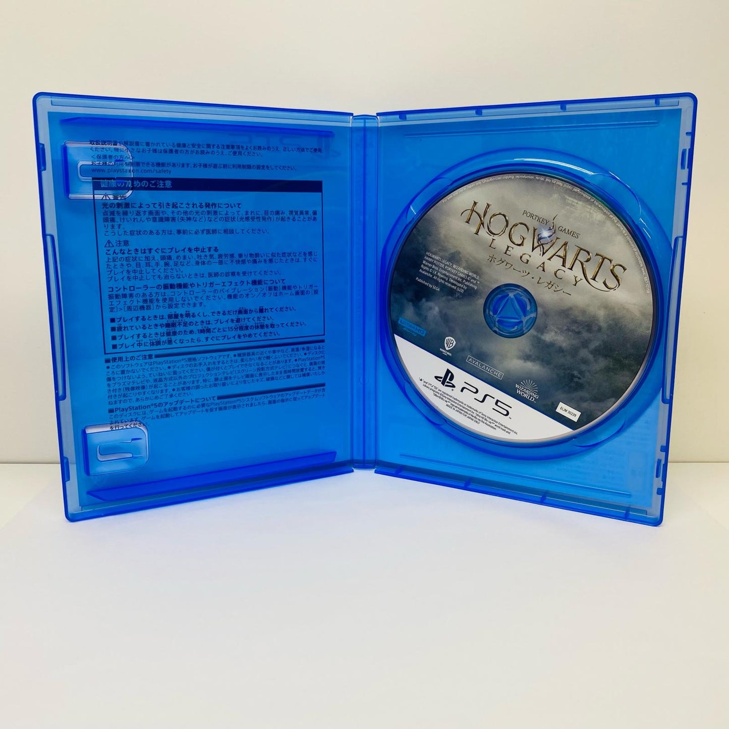 Video Game Software Standard Edition Hogwarts Legacy PlayStation 5 Adventure RPG ELJM-30239