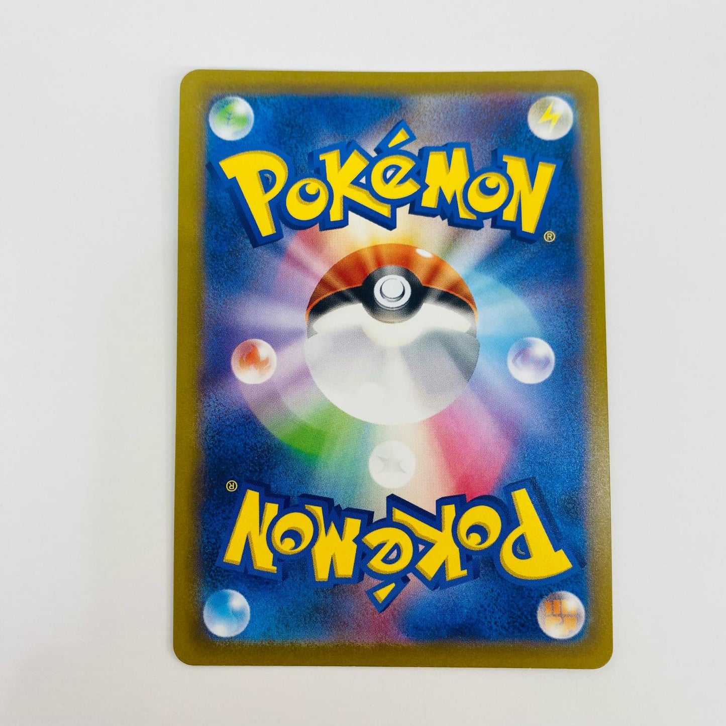 【中古】 ツツジ SAR S12a-242