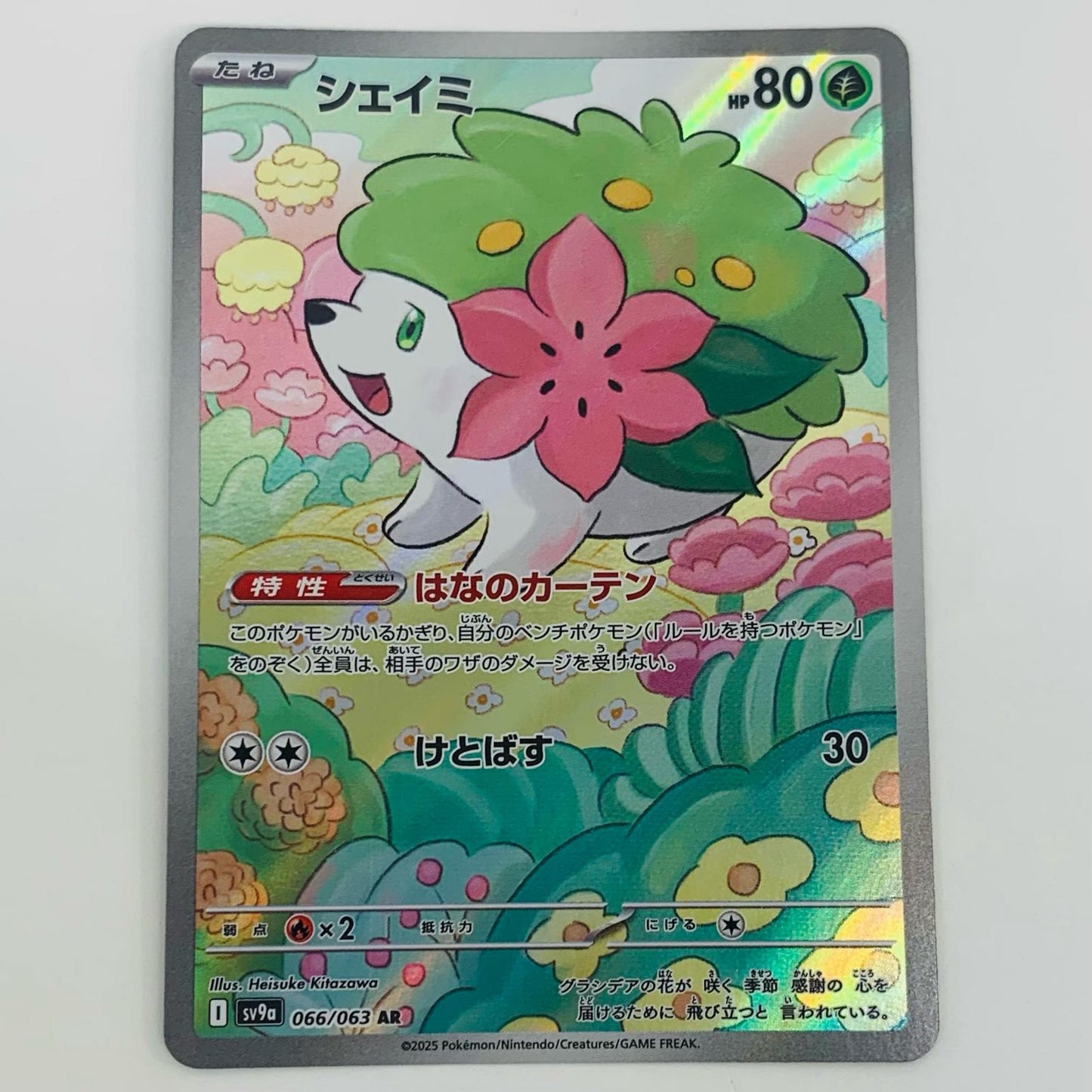 【中古】 シェイミ AR SV9a-066
