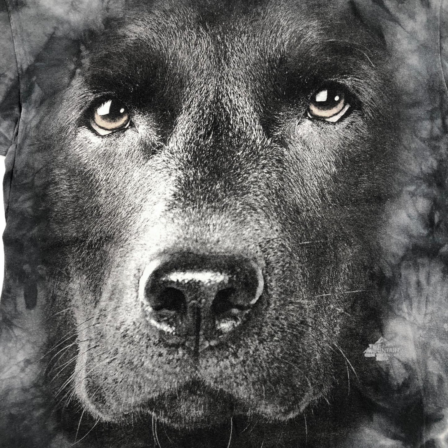 【中古】 THE MOUNTAIN マウンテン DOG 犬 アニマルプリント MEXICO製 半袖Tシャツ タイダイ【加古川物流】