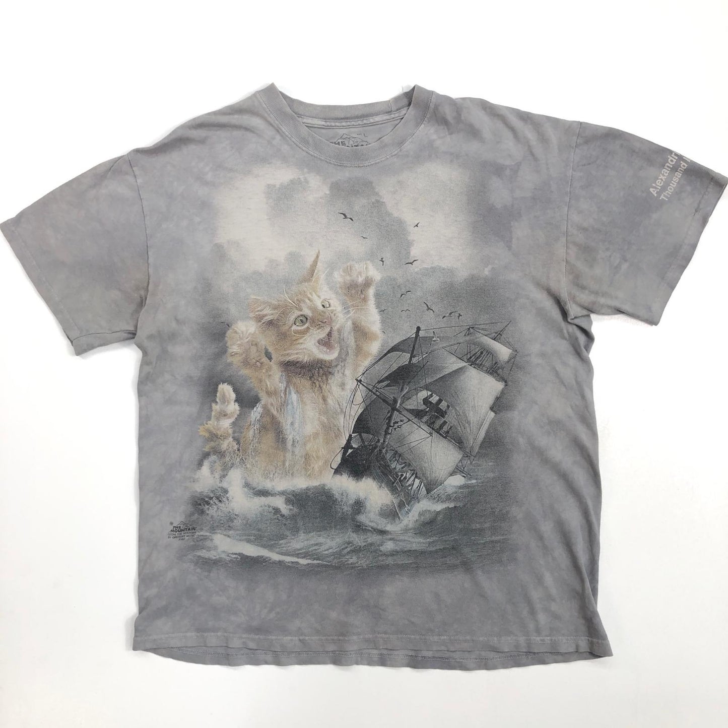 【中古】 THE MOUNTAIN ザ マウンテン 巨大 猫 船 半袖Tシャツ グレー サイズ:L【加古川物流】