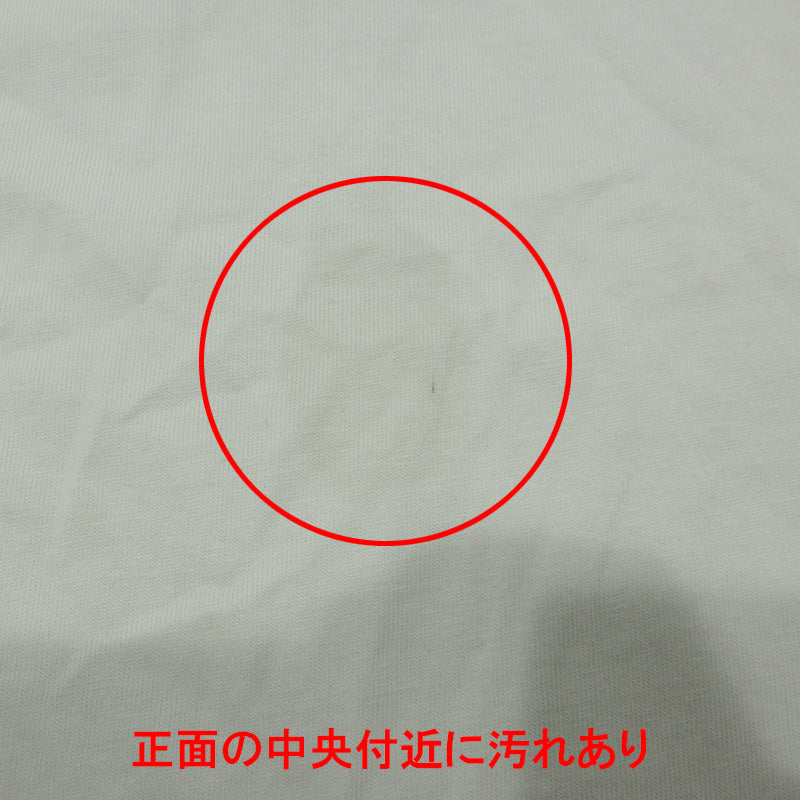 DIESEL | ディーゼル T-DIEGOR-E6 ロゴプリント半袖Tシャツ 半袖Tシャツ A06534 ホワイト×グレー サイズ:XL【三重本店】