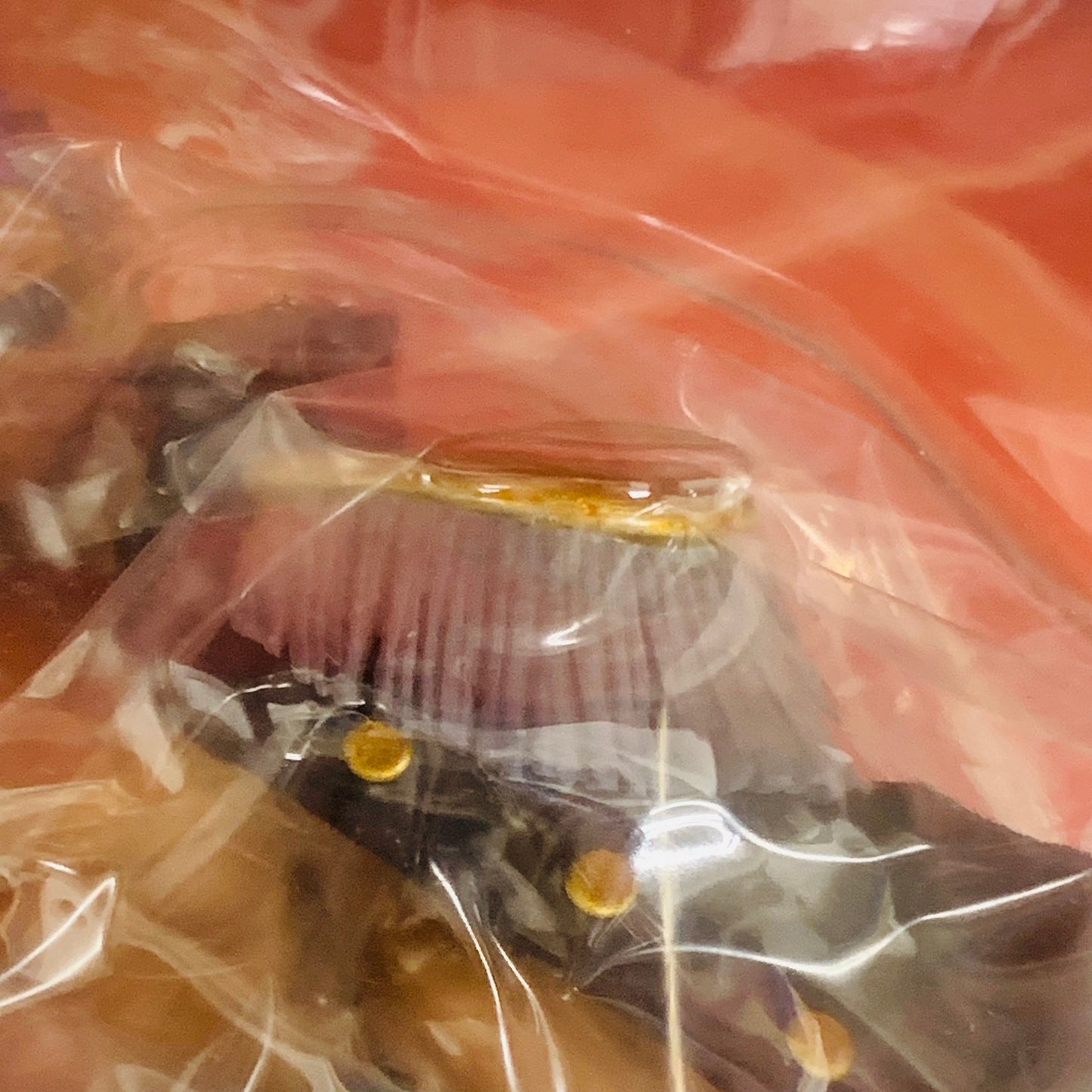 【中古】 ラストワン賞ゼット/ワンピースフィルムゼットフィギュア「メモリーズ/一番くじワンピース」【フィギュア】【飾磨店】