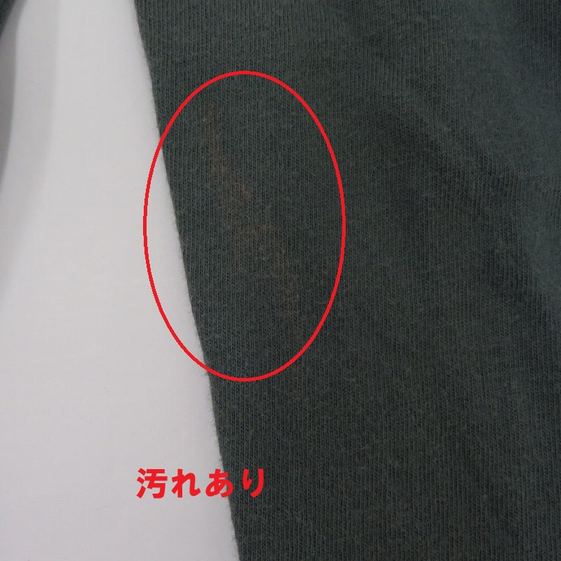 patagonia | パタゴニア 葛飾北斎 富嶽三十六景 長袖Ｔシャツ グリーン サイズ：S【瀬戸大橋店】