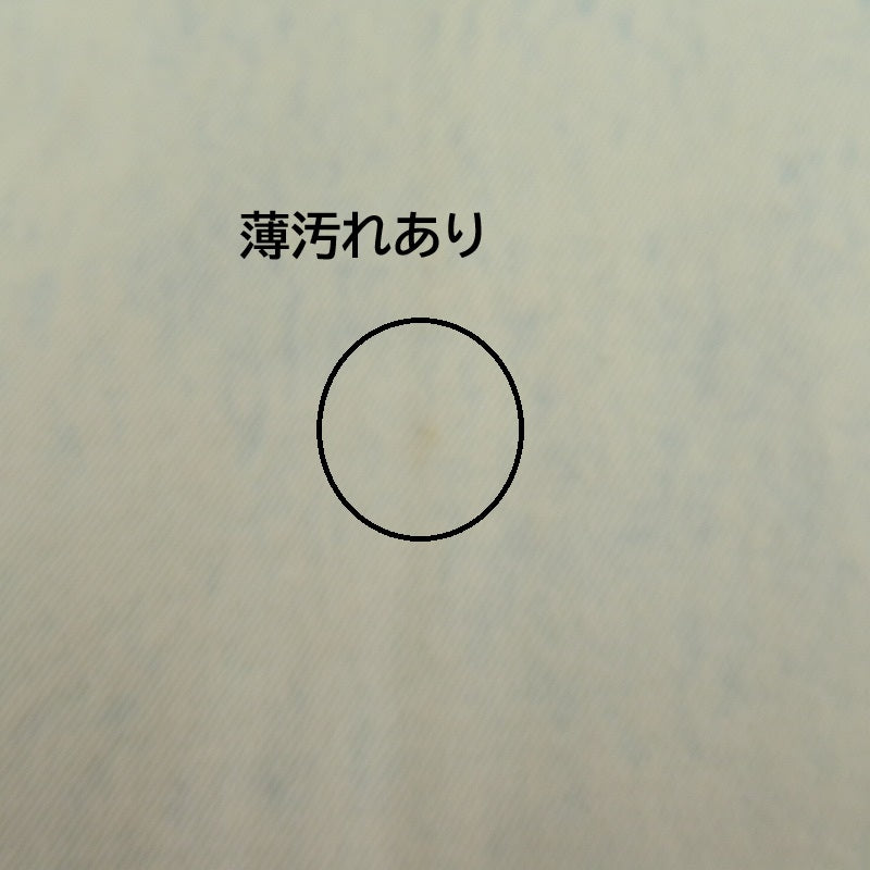 AIVER 加工バギーデニムスラックス デニムパンツ ACBLC0723003 ホワイト サイズ：S【瀬戸大橋店】
