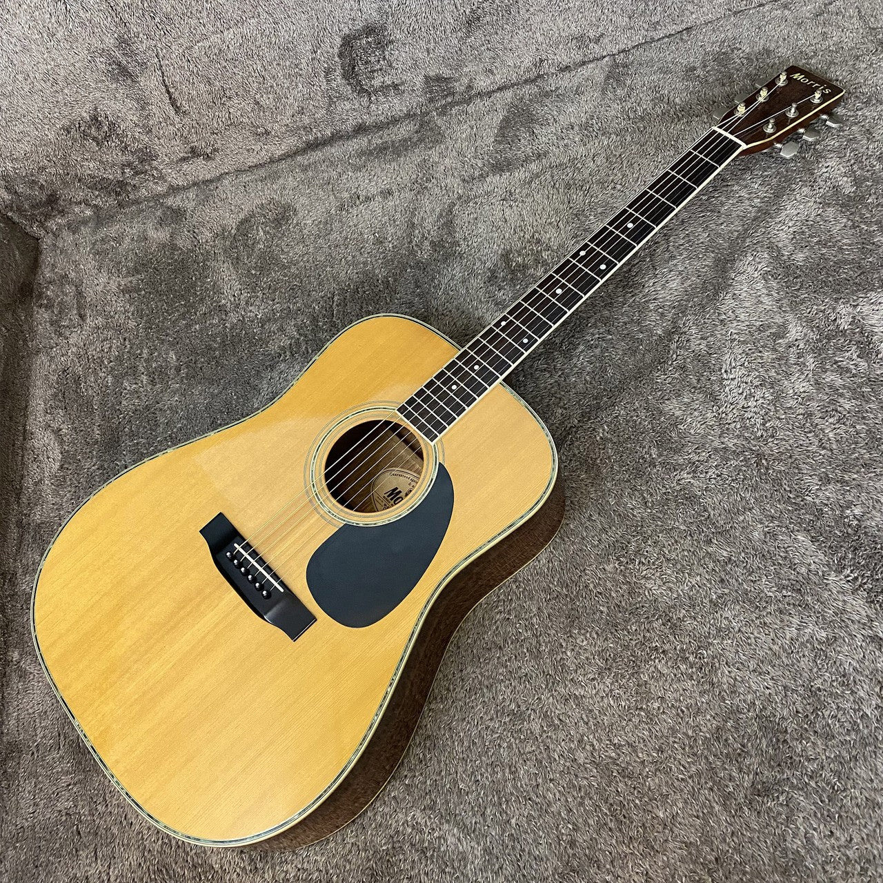 Morris | モーリス 楽器 W-30【尾張小牧店】