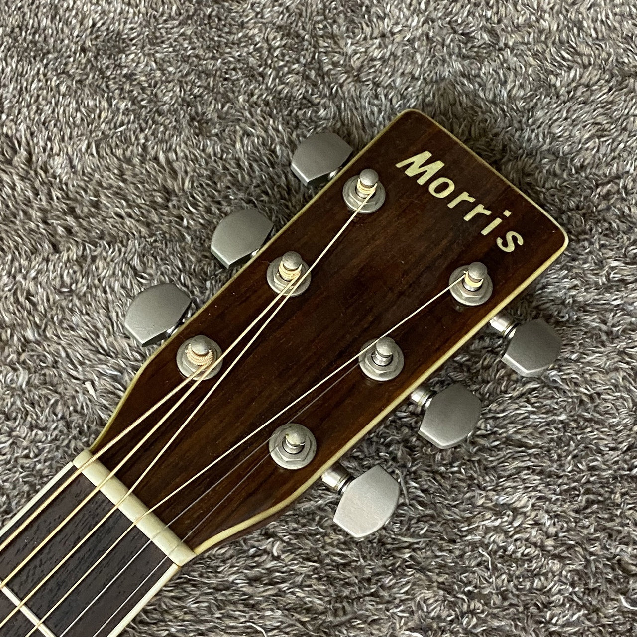 Morris | モーリス 楽器 W-30【尾張小牧店】