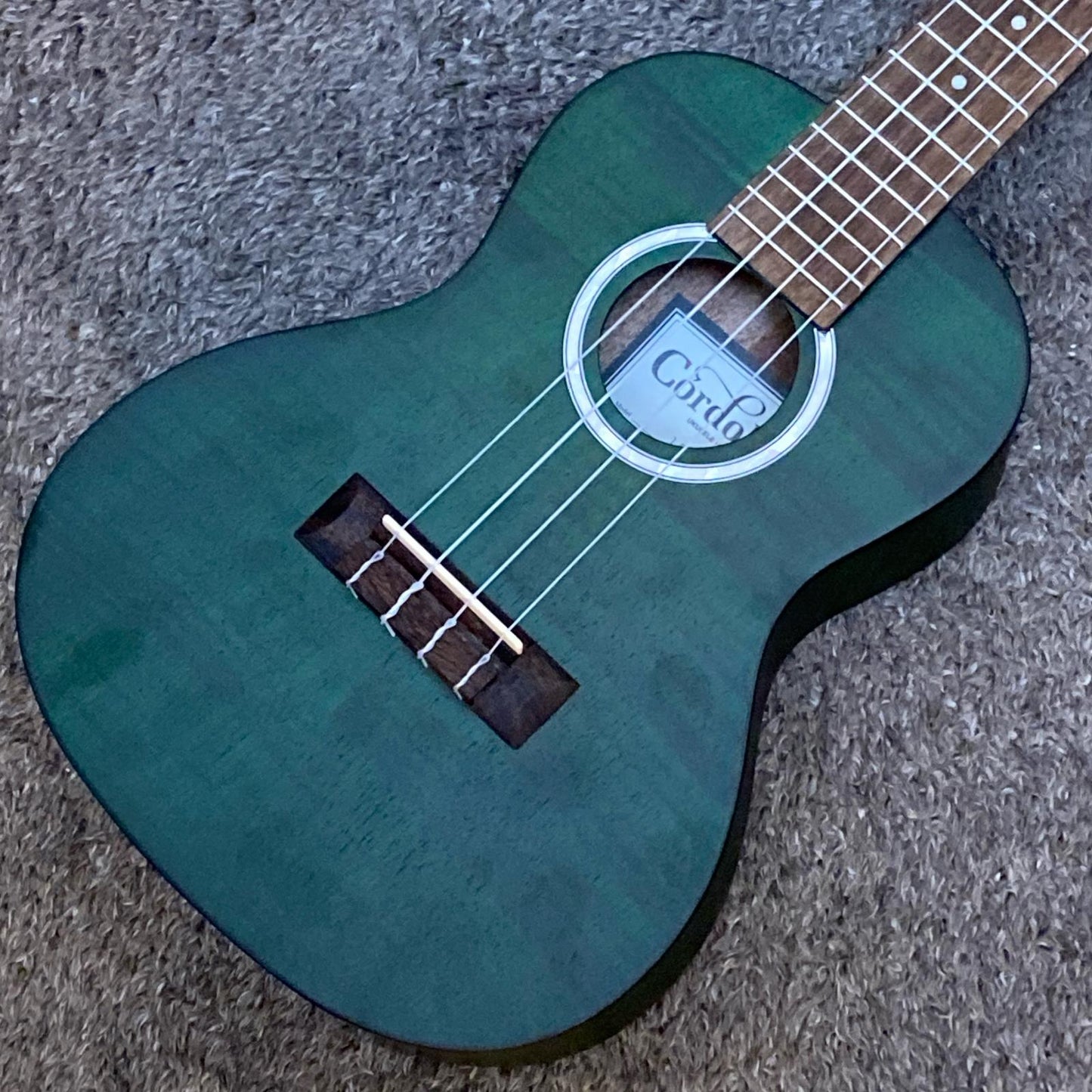 【新品】 Cordoba | コルドバ 楽器 15CFM Jade Green【尾張小牧店】