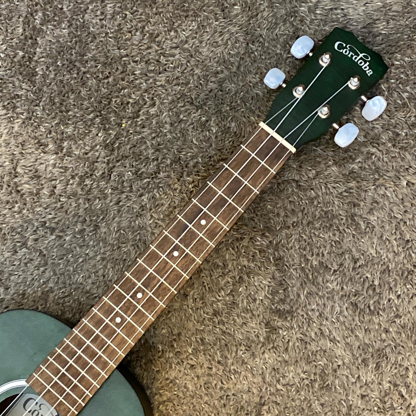 【新品】 Cordoba | コルドバ 楽器 15CFM Jade Green【尾張小牧店】