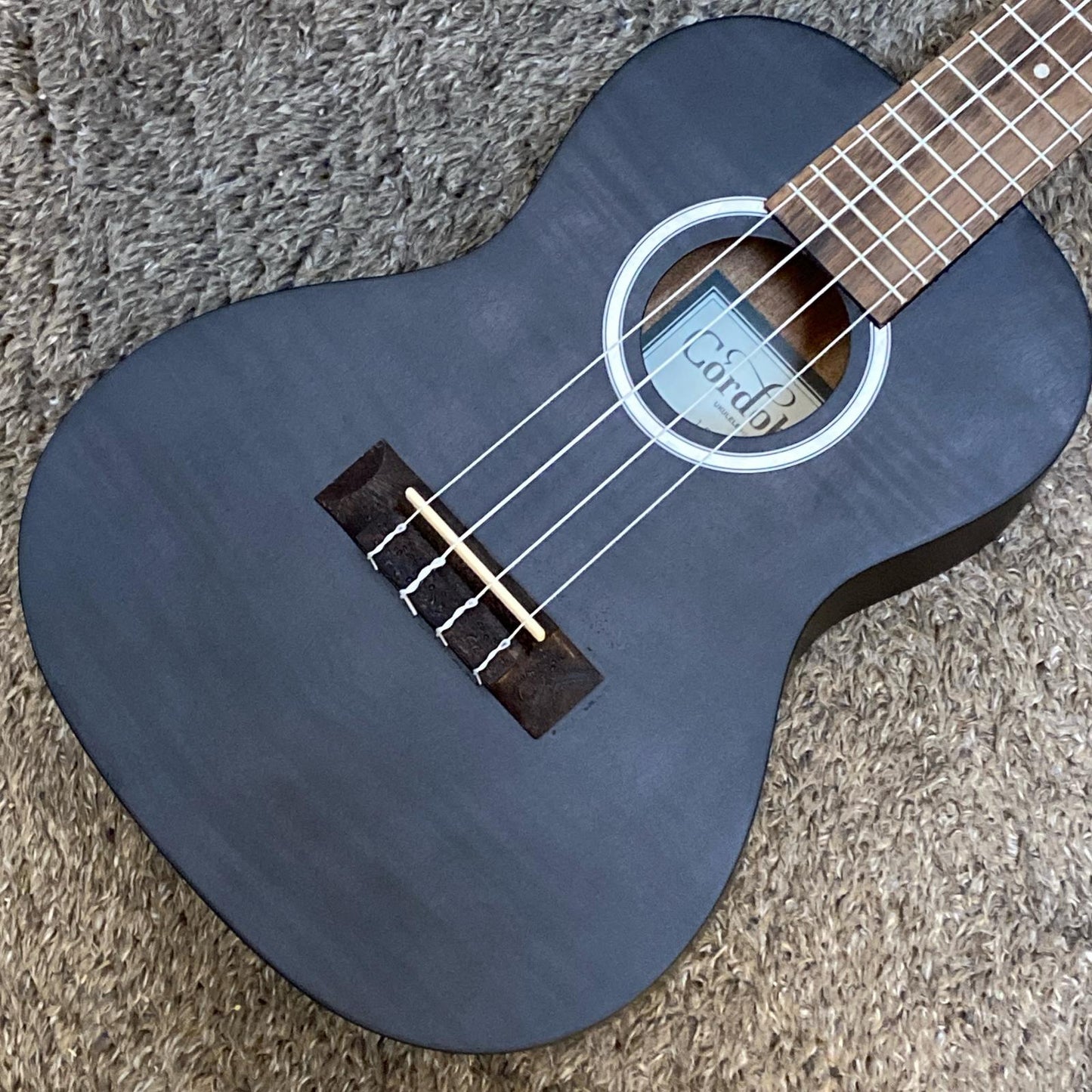 【新品】 Cordoba | コルドバ 楽器 15CFM Granite Grey【尾張小牧店】