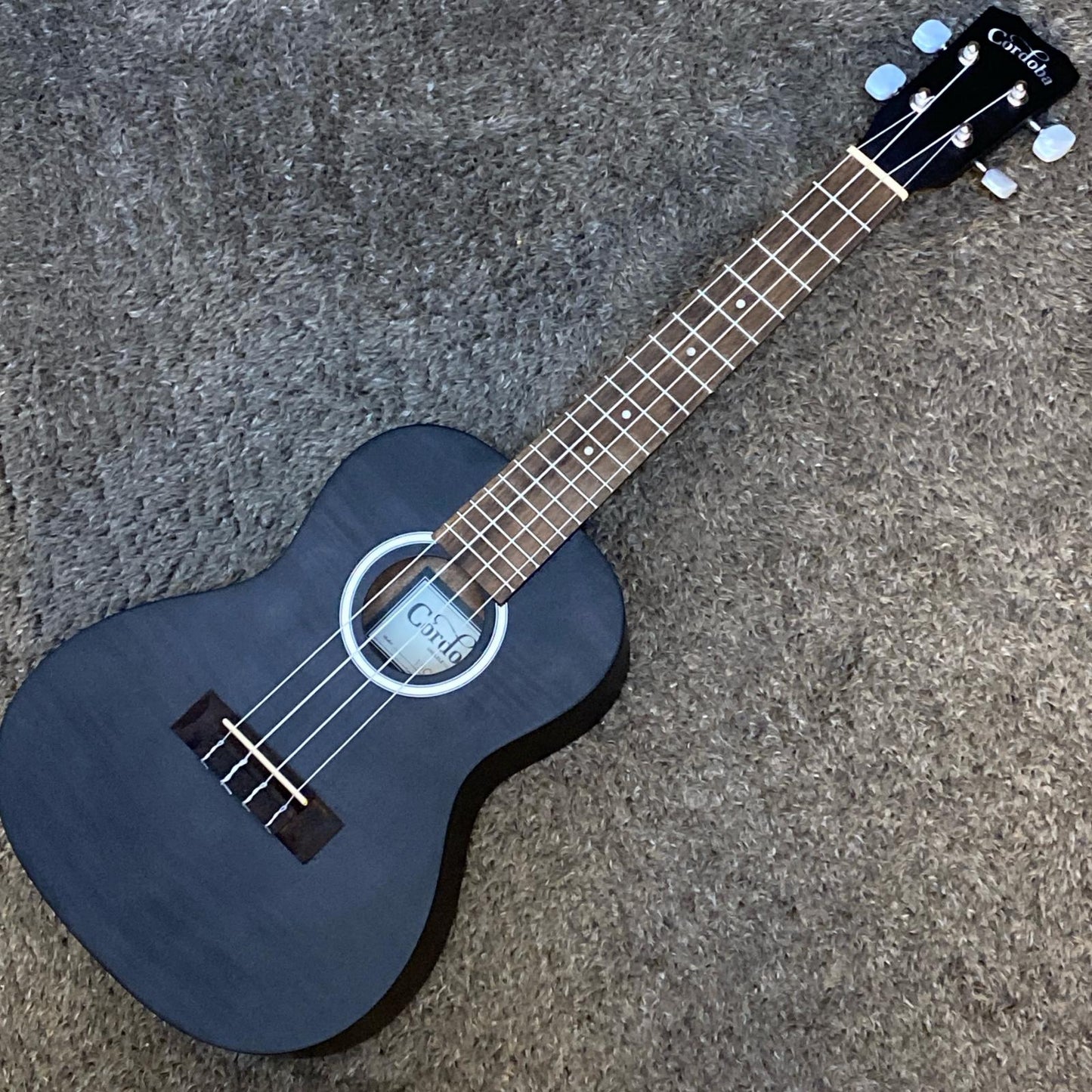 【新品】 Cordoba | コルドバ 楽器 15CFM Granite Grey【尾張小牧店】