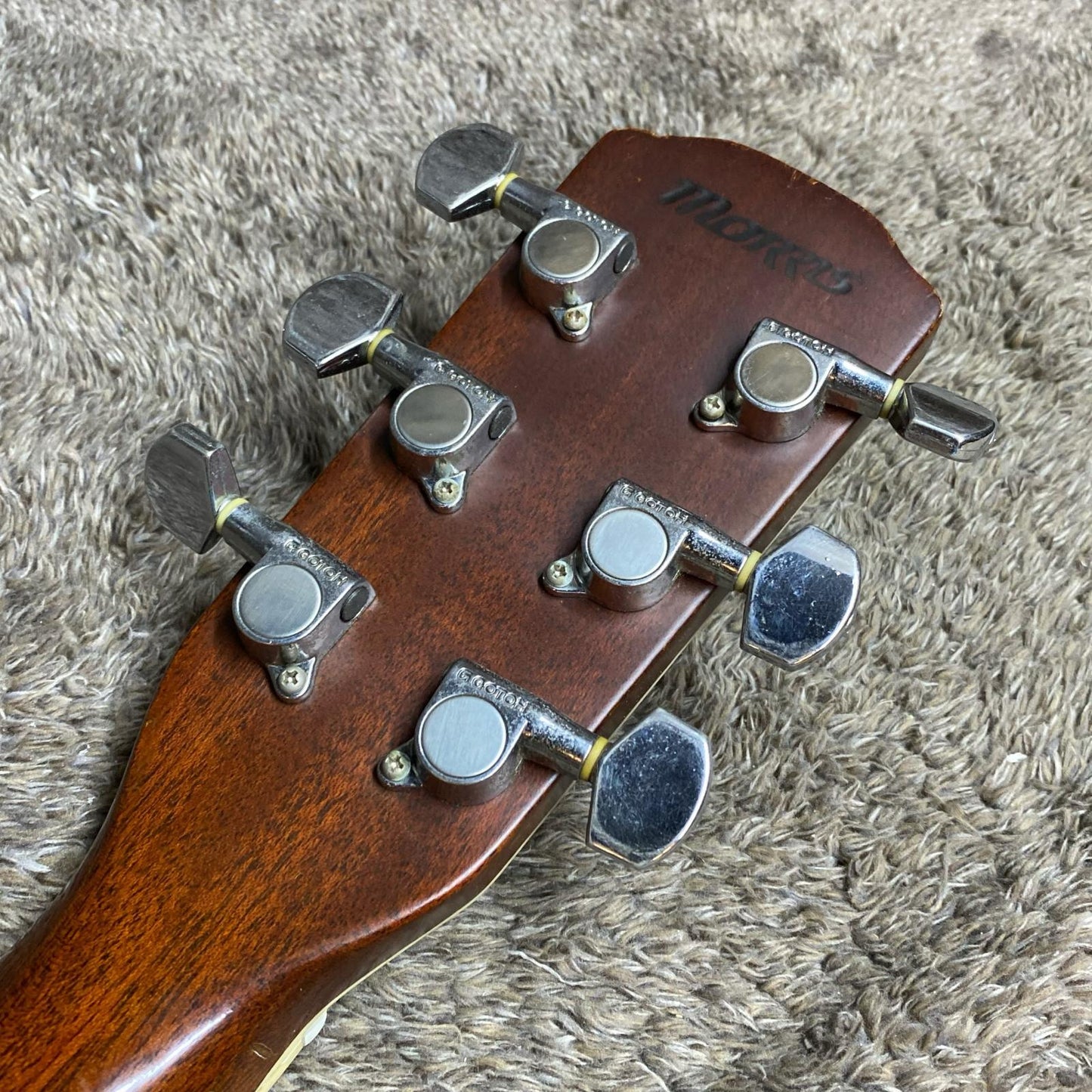 Morris | モーリス 楽器 MF-601【尾張小牧店】