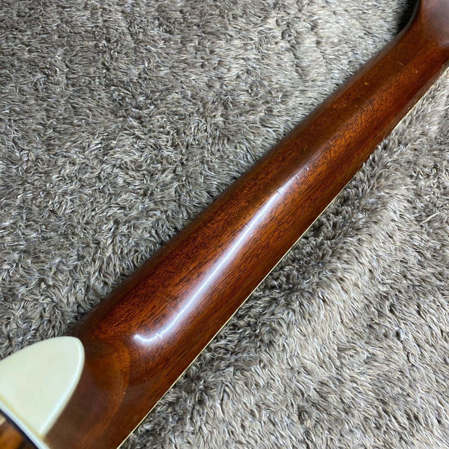 Morris | モーリス 楽器 MF-601【尾張小牧店】