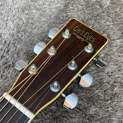 Cat's Eyes | キャッツアイ 楽器 TCE-25【尾張小牧店】