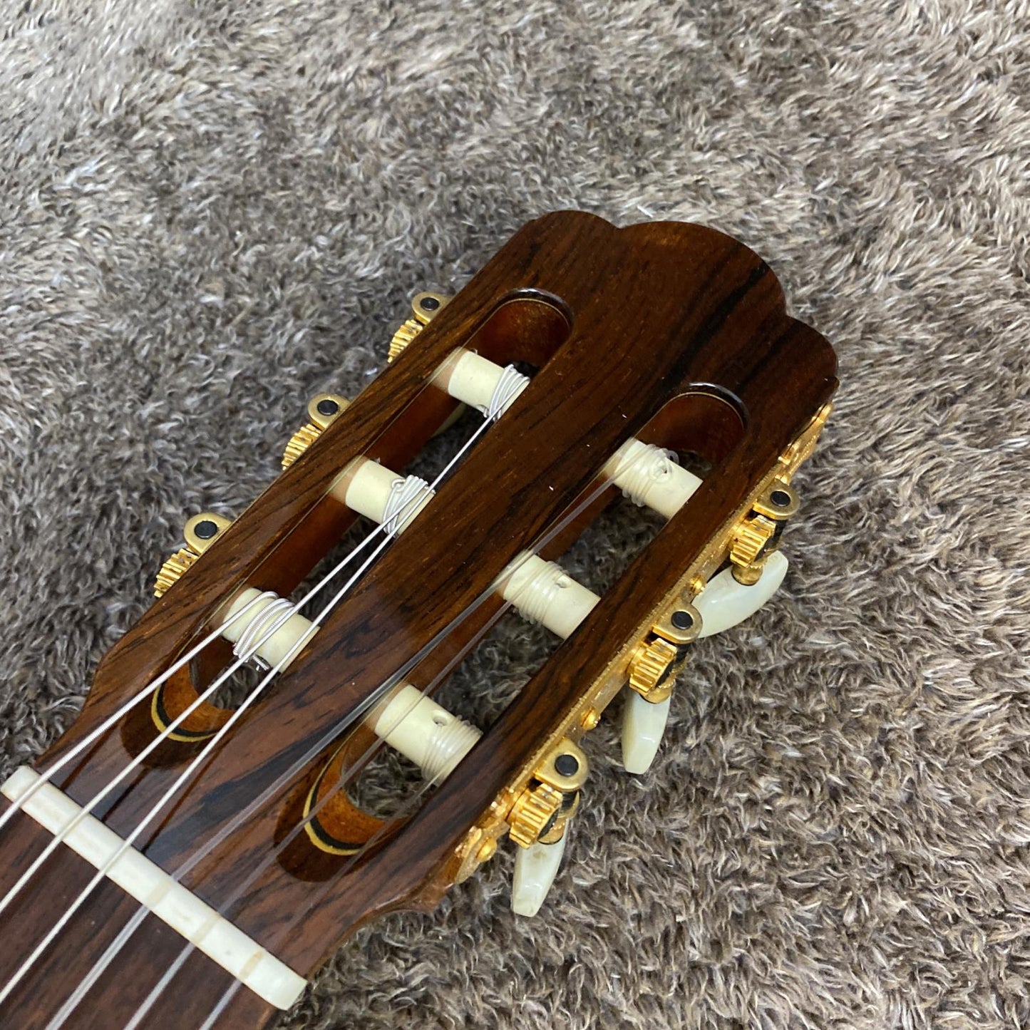 ASTURIAS | アストリアス 楽器 Standard Classic【尾張小牧店】