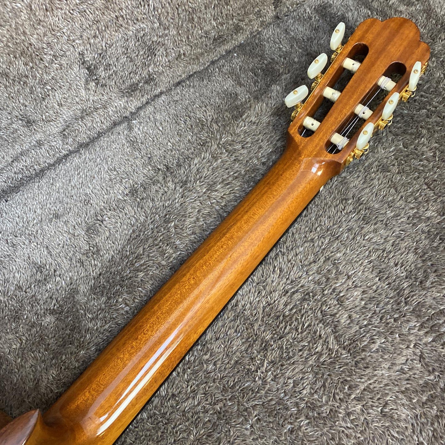 ASTURIAS | アストリアス 楽器 Standard Classic【尾張小牧店】