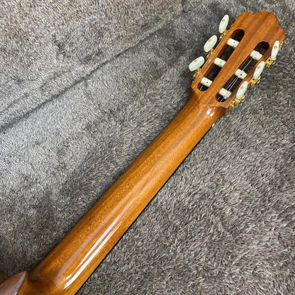 ASTURIAS | アストリアス 楽器 Standard Classic【尾張小牧店】