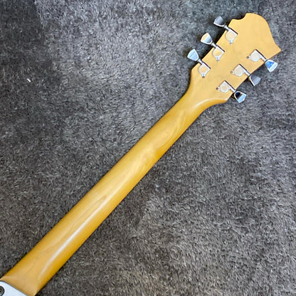 Burny | バーニー 楽器 LS-35【尾張小牧店】