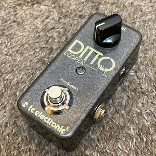 tc electronic | ティーシーエレクトロニック 楽器 DITTO Looper【尾張小牧店】