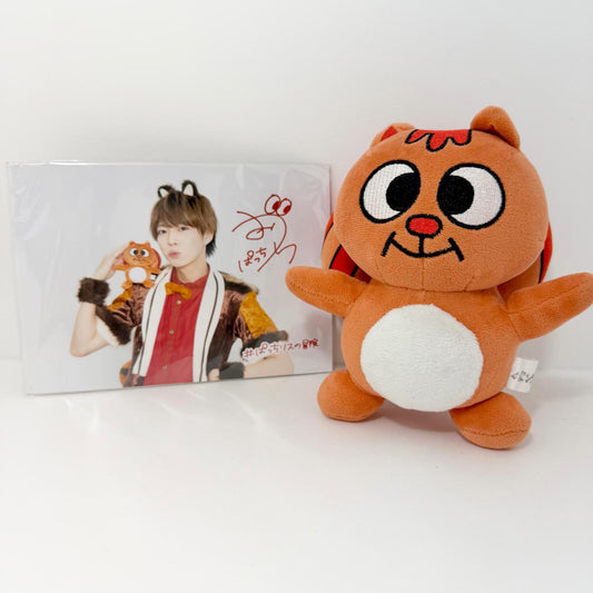 パンダドラゴン ぱっち ぱっちリス パラゴン ぬい