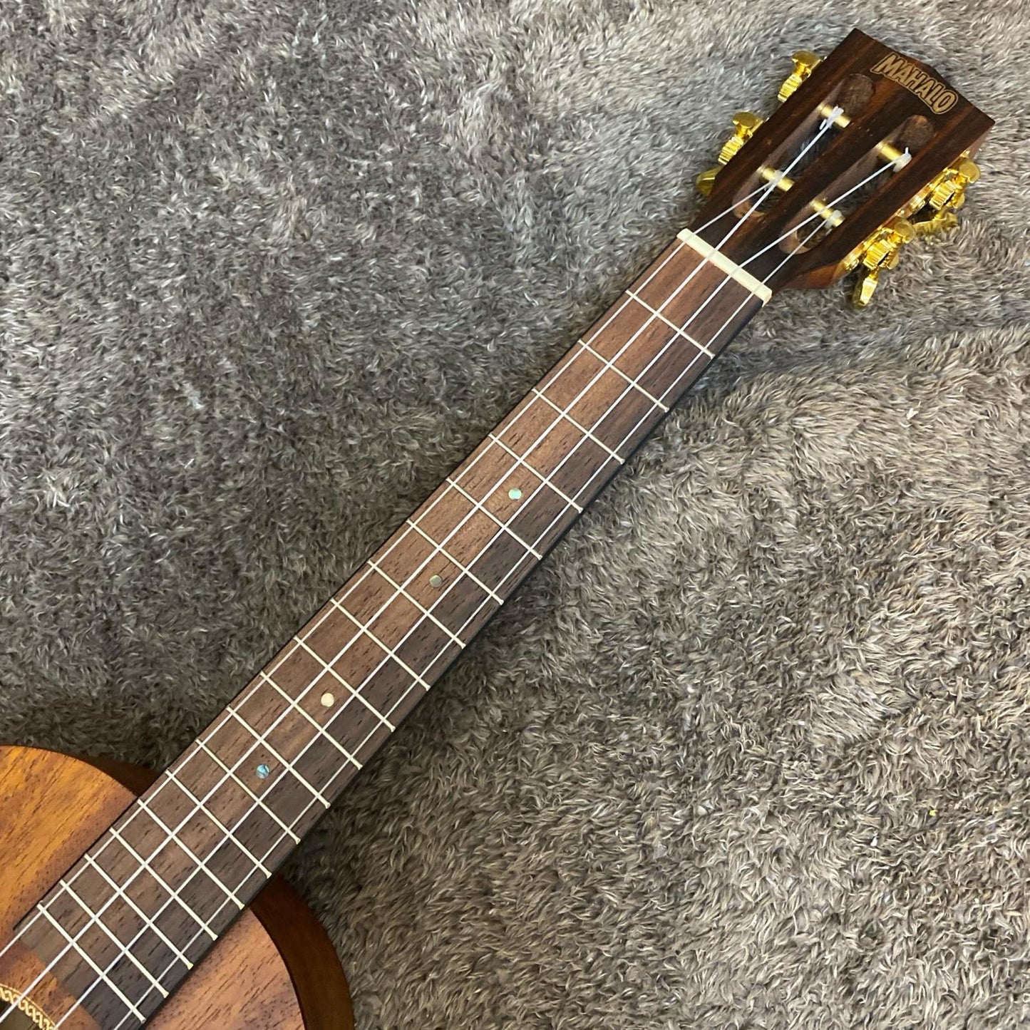 【新品】 MAHALO | マハロ 楽器 MJ3 TBR【尾張小牧店】