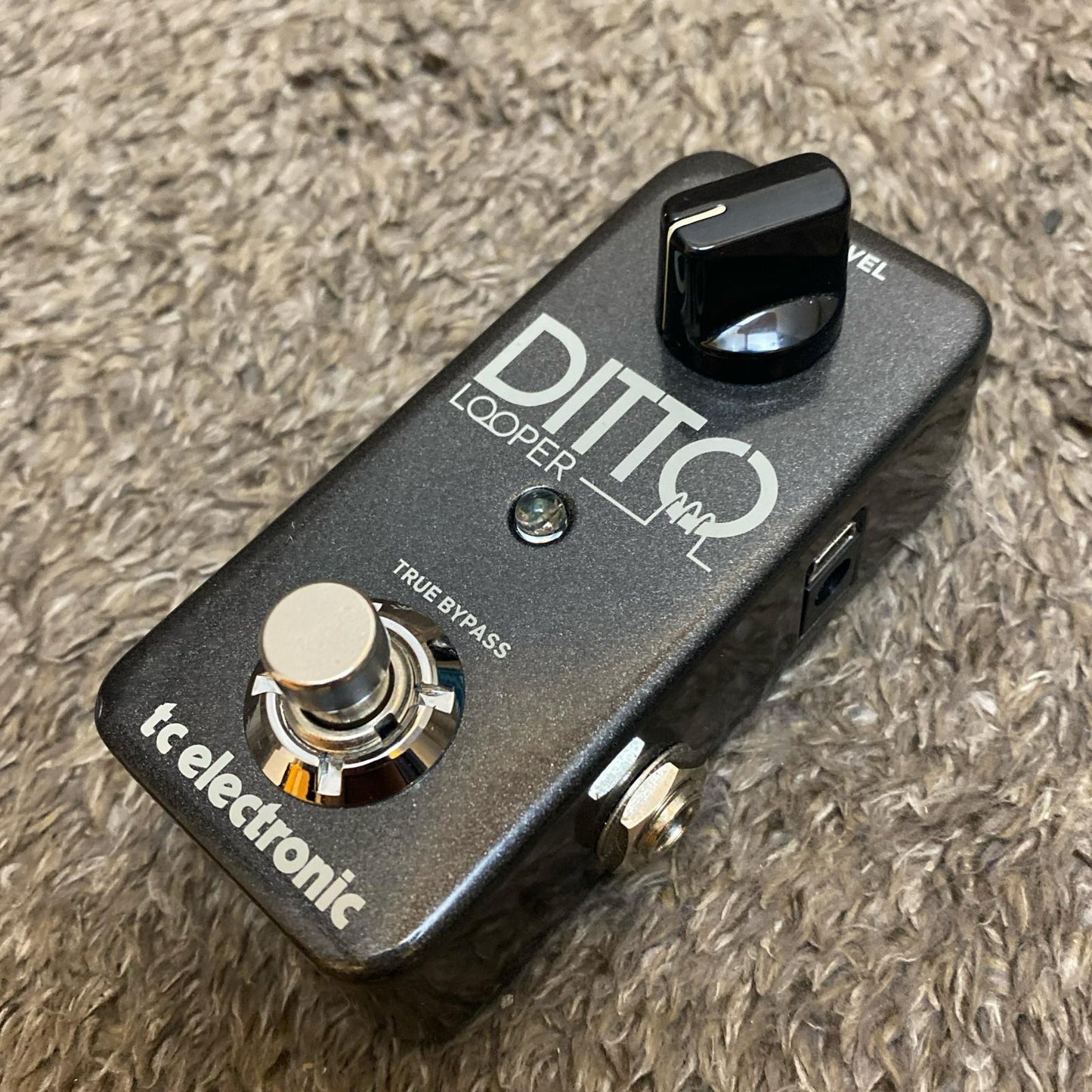 tc electronic | ティーシーエレクトロニック 楽器 DITTO Looper【尾張小牧店】