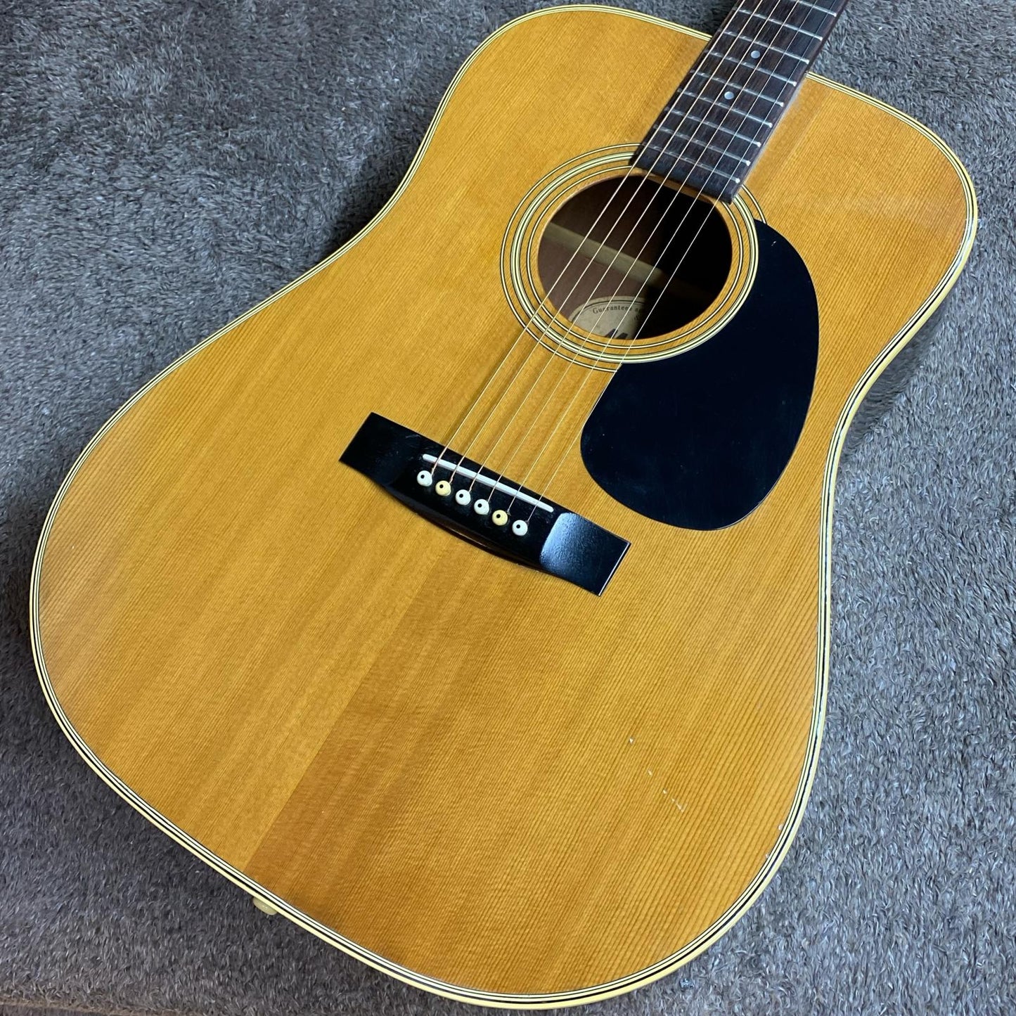 Morris | モーリス 楽器 W-20【尾張小牧店】