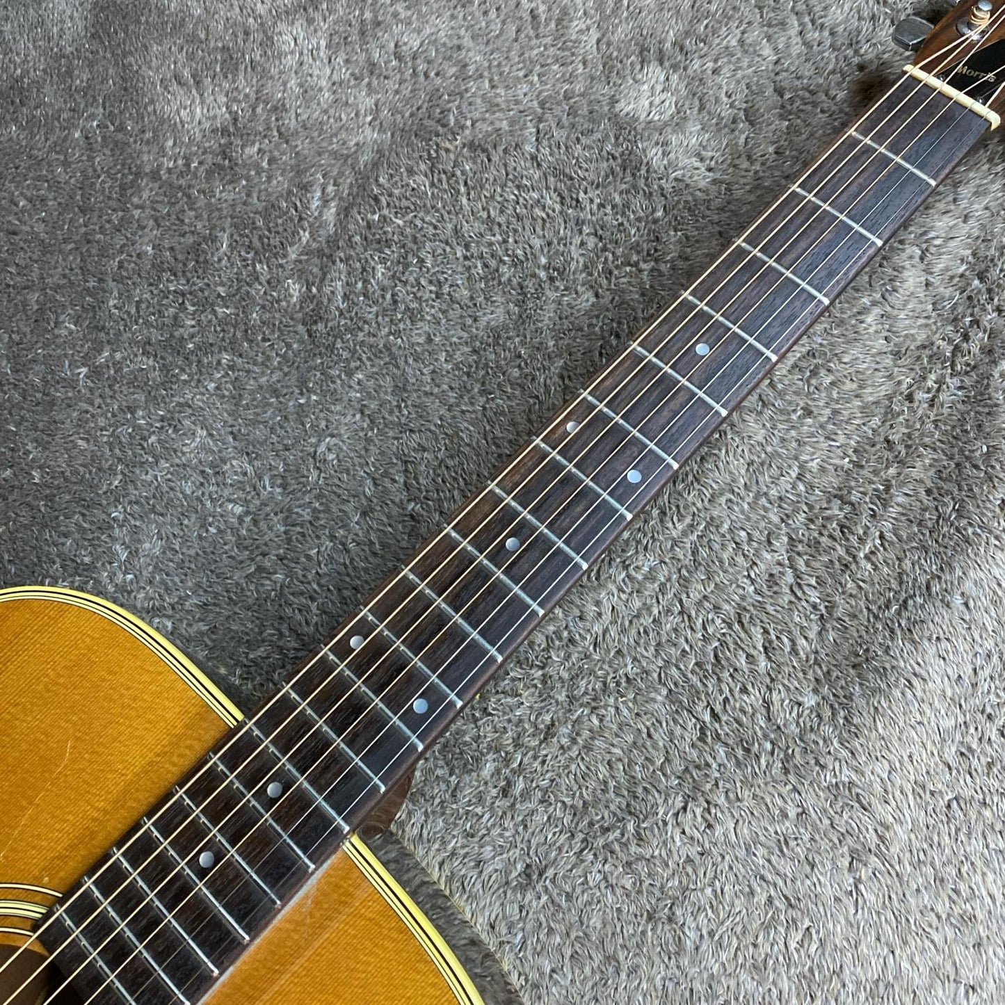Morris | モーリス 楽器 W-20【尾張小牧店】