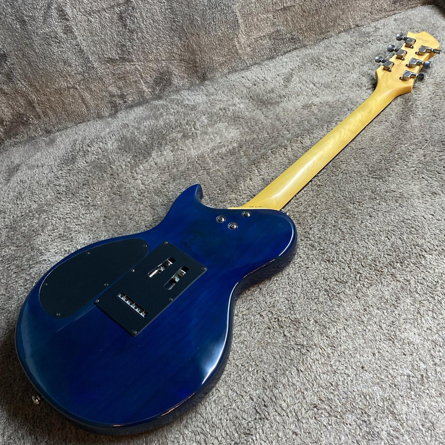 Aria Pro II | アリアプロツー 楽器 PE-F50【尾張小牧店】